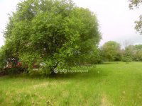 Eladó telek, XXII. kerületben 98 M Ft / költözzbe.hu