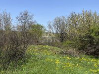 Eladó telek, Budakeszin 60 M Ft / költözzbe.hu