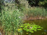 Eladó családi ház, Herceghalomon 456.9 M Ft, 5 szobás