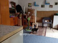 Eladó családi ház, Hajdúszoboszlón 44 M Ft, 1+1 szobás