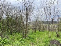 Eladó telek, Bagon 5 M Ft / költözzbe.hu