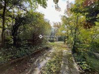 Eladó telek, II. kerületben 290 M Ft / költözzbe.hu