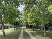 Eladó családi ház, Majosházán 265 M Ft, 4 szobás