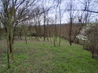 Eladó telek, Szentgyörgyváron 5.5 M Ft / költözzbe.hu