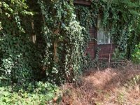 Eladó telek, Ráckevén 14 M Ft / költözzbe.hu