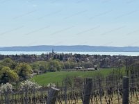 Eladó mezogazdasagi ingatlan, Balatoncsicsón 23 M Ft