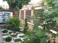 Eladó családi ház, XV. kerületben 198.9 M Ft, 5 szobás