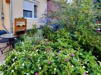 Eladó családi ház, XV. kerületben 54.9 M Ft, 2 szobás