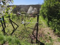 Eladó telek, Pellérden 1.9 M Ft / költözzbe.hu