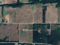 Eladó mezogazdasagi ingatlan, Cegléden 99.99 M Ft