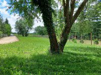 Eladó telek, Harkán 46 M Ft / költözzbe.hu