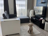 Eladó téglalakás, IX. kerületben 94.9 M Ft, 2 szobás