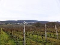 Eladó mezogazdasagi ingatlan, Nadapon 15 M Ft