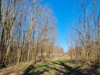 Eladó mezogazdasagi ingatlan, Inkén 32 M Ft / költözzbe.hu