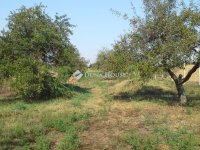 Eladó telek, Debrecenben 7 M Ft / költözzbe.hu