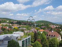Kiadó iroda, II. kerületben 129 E Ft / hó / költözzbe.hu