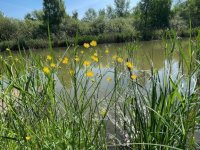 Eladó nyaraló, Dunaharasztin 57.9 M Ft, 1+1 szobás