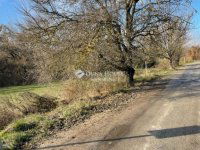 Eladó telek, Budakalászon 120 M Ft / költözzbe.hu