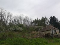 Eladó családi ház, Városlődön 32 M Ft, 2 szobás