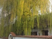 Eladó sorház, Tardoson 13.9 M Ft, 2 szobás / költözzbe.hu