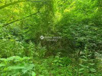 Eladó telek, Regenyén 3.5 M Ft / költözzbe.hu