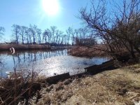 Eladó családi ház, Dömsödön 53.9 M Ft, 3 szobás