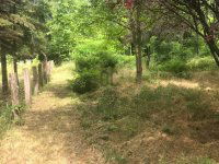 Eladó telek, Pécelen 80 M Ft / költözzbe.hu