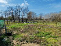 Eladó családi ház, Monoron 79.9 M Ft, 6 szobás