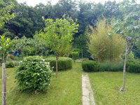 Eladó családi ház, Fertőrákoson 149 M Ft, 4 szobás