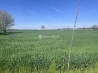 Eladó családi ház, Bácsbokodon 24.5 M Ft, 4 szobás