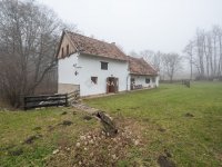 Eladó mezogazdasagi ingatlan, Pápateszéren 180 M Ft, 4 szobás