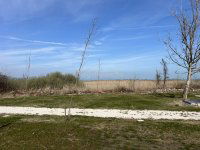 Eladó üzlethelyiség