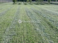 Eladó telek, Gödöllőn 95 M Ft / költözzbe.hu