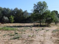 Eladó ipari ingatlan, Piliscsabán 89.99 M Ft