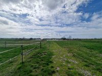 Eladó családi ház, Cegléden 135 M Ft, 1 szobás