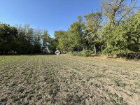 Eladó mezogazdasagi ingatlan, Orgoványon 79.9 M Ft, 3 szobás