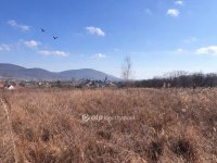 Eladó családi ház, Erdőbényén 15.9 M Ft, 3 szobás