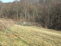 Eladó telek, Alsónemesapátiban 55 M Ft / költözzbe.hu