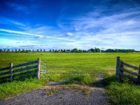 Eladó mezogazdasagi ingatlan, Alsónémediben 110 M Ft