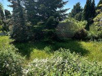 Eladó telek, Szentendrén 80 M Ft / költözzbe.hu