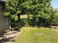 Eladó telek, Levélen 9.9 M Ft / költözzbe.hu