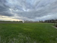 Eladó telek, Dabason 99.9 M Ft / költözzbe.hu