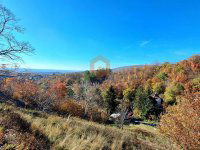 Eladó telek, Pécsett, Kisdeindoli úton 11.99 M Ft