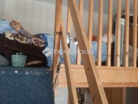 Eladó téglalakás, XIII. kerületben 48.5 M Ft, 1 szobás