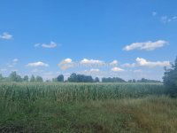 Eladó mezogazdasagi ingatlan, Vecsésen 117 M Ft