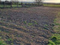 Eladó telek, Siófokon 17 M Ft / költözzbe.hu