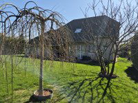 Eladó családi ház, Vonyarcvashegyen 300 M Ft, 4 szobás