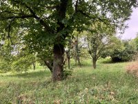 Eladó telek, Vöcköndön 0.7 M Ft / költözzbe.hu