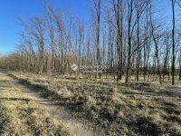 Eladó mezogazdasagi ingatlan