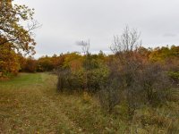 Eladó telek, Pécselyen 19.99 M Ft / költözzbe.hu